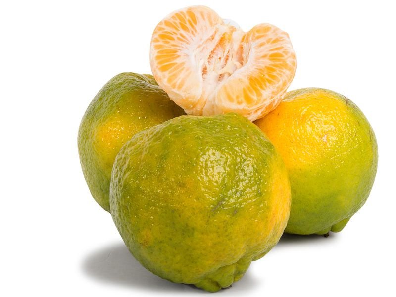 Laranja Pokan