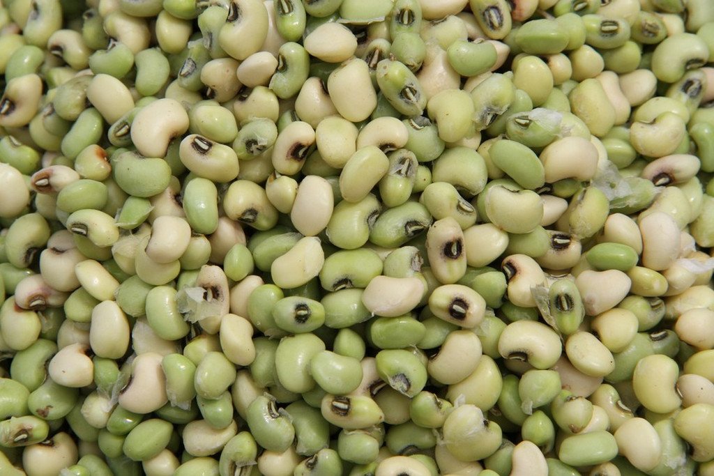 Feijão verde (500g)