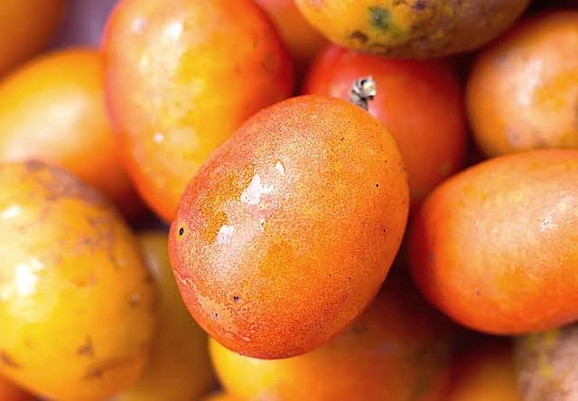 Bandeja de Siriguela